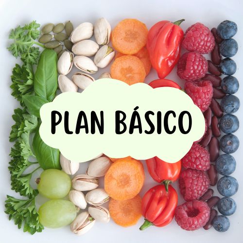 PLAN BÁSICO